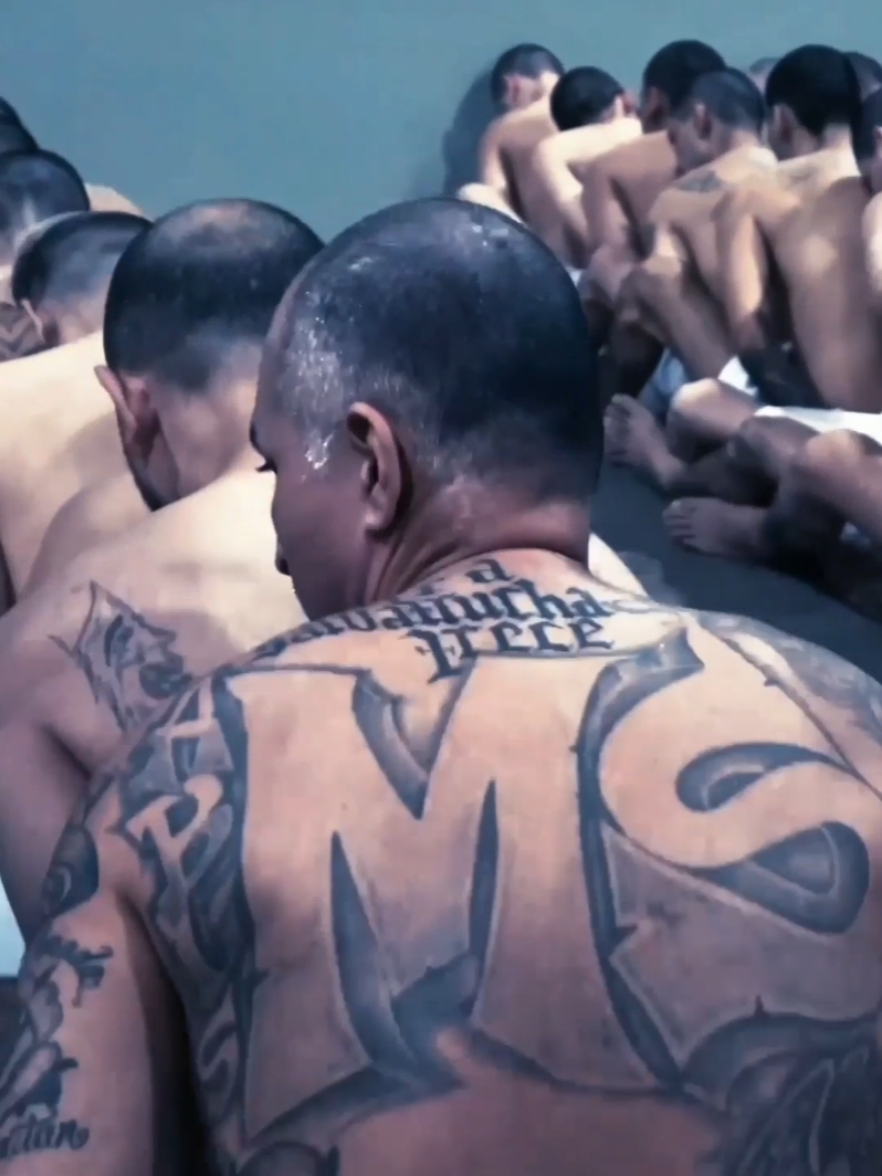 Palabras de Nayib Bukele hacía Estructuras Criminales #elsalvador #nayibbukele 