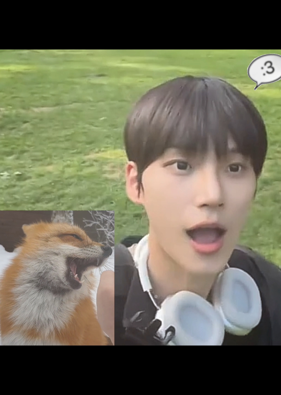 he's a fox 🦊🩵 | #EVNNE #이븐 #박한빈 #PARKHANBIN #fy #edit #kpop @EVNNE 