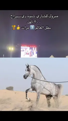 #خيول #العربي #🫶🐎🫶
