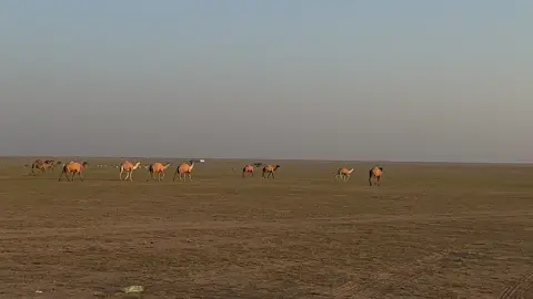 #الدبدبه #معرج_السوبان #اكسبلور #انتشار_سريع 