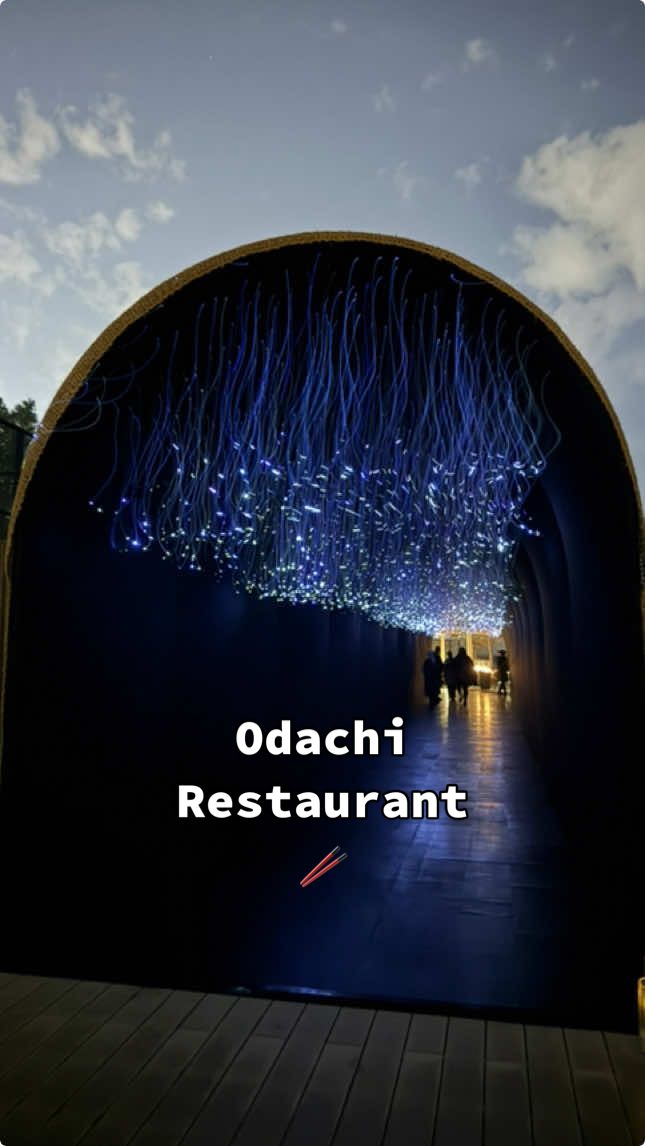 Odachi Restaurant 🥢 #مطعم_ياباني #الشعب_الصيني_ماله_حل😂😂 #اكسبلور 
