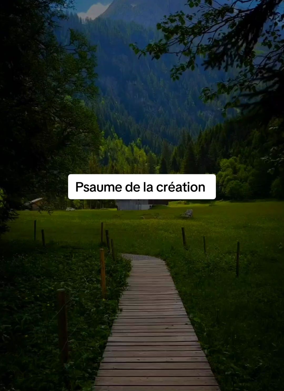 Psaume de la création  #worship #gospel #chretien #tiktokchretien #hommepieux 