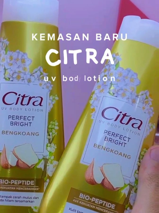 pasti kalian sama kaya aku kan, kalau cari body lotion pasti pengen yang gak hanya melembabkan tapi bisa sekaligus mencerahkan juga? nah sekarang, Citra Uv Body Lotion @cantikcitraid perfect bright solusi banget untuk dipakai, karena terdapat bio peptide double extraction yg dapat 40x kekuatan mencerahkan, dan dapat membantu menghambat melanin  berlebih juga melindungi dari radikal bebas penyebab kulit kusam! kulit tampak lebih cerah dan noda hitam tersamarkan, wanginya juga tahan lama. cobain juga ya cek bio atau keranjang kuning #citra #cantikcitra #citrabodylotion #bodylotion #lotion #perfectbright #biopeptide #bengkoang #brighteninglotion #newpackaging 