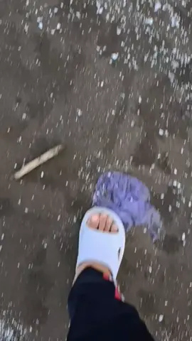 mantai a #beatdeluxe  #pemalang  #mantai 