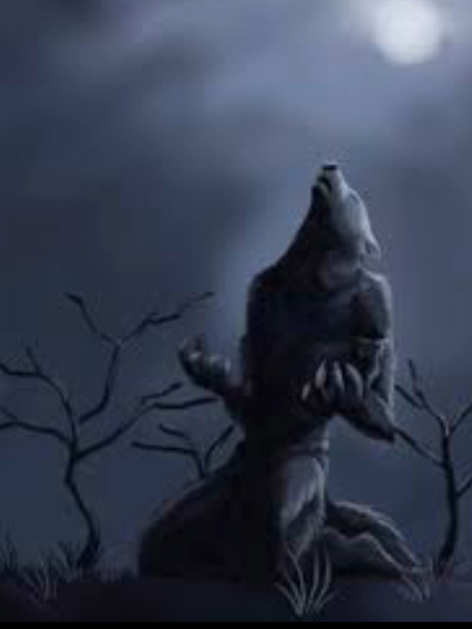 خطيرون جدن . . #العراق #الكويت #الامارات #السعودية #fyp #اكسبلور #ميمز #meme #شتبوست #shitposting #explore #iraq 