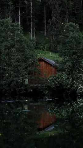 Não se trata de egoísmo!#viralvideo #foryou #fyp #psicologia 