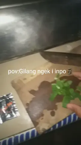 wadoh🗿#jogja24jam #begadang #fypシ゚viral #foryoupage #gendengtapigakgoblok