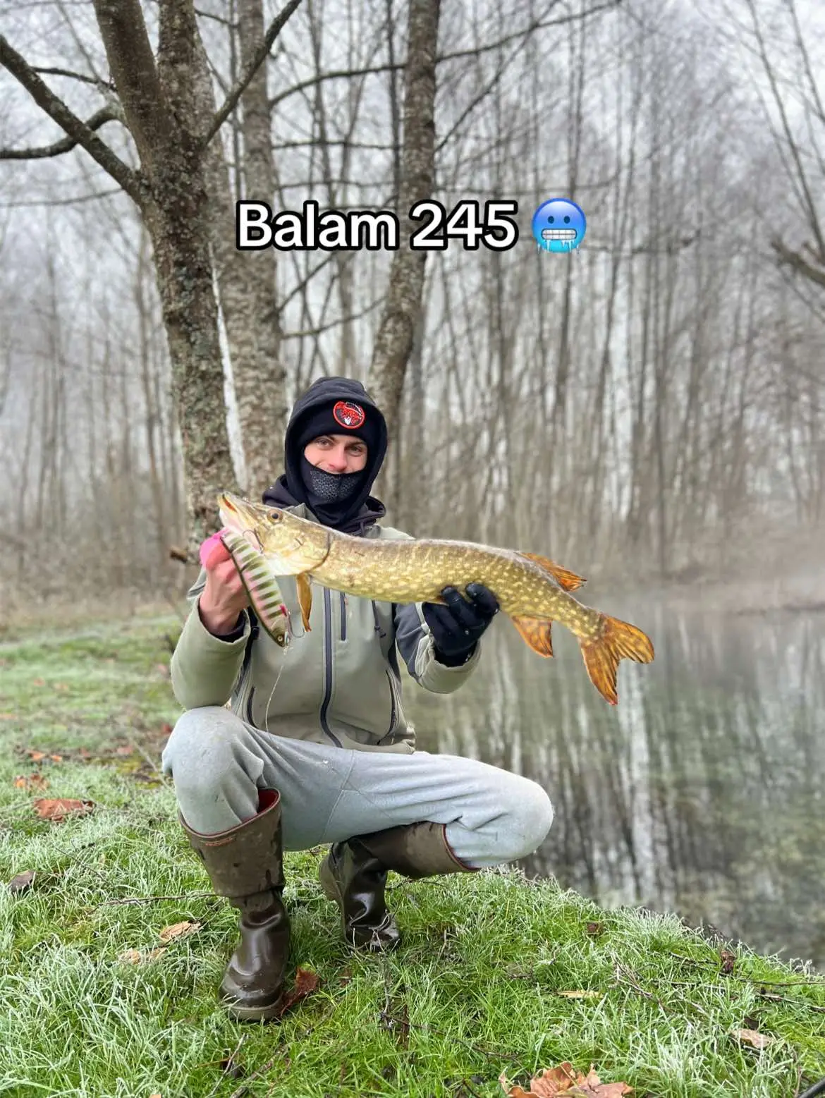 Le mieux c de pêcher avec des coloris inconnus #peche #lure #coloris #balam245