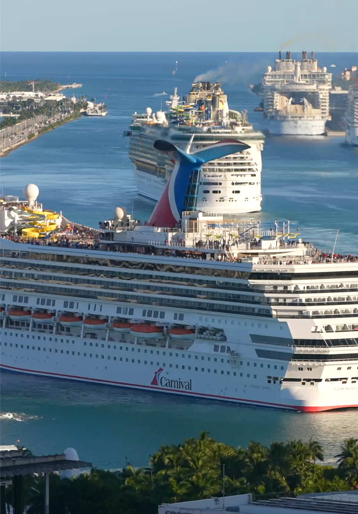 Casual Monday at Port of Miami 🚢🚢 #cruises #cruiseships #miami #portofmiami #timelapse 