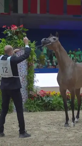 #كن_مغربيا_تكن_عريقا #صعيب_تكون_بلا_هوية #صعيب_تكون_بلا_هوية #الله_الوطن_الملك #ديمامغرب #المملكة_المغربية_الشريفة🇲🇦 #morocco #المغرب🇲🇦 #dimamaghrib #المغرب🇲🇦تونس🇹🇳الجزائر🇩🇿 #مصر🇪🇬 #