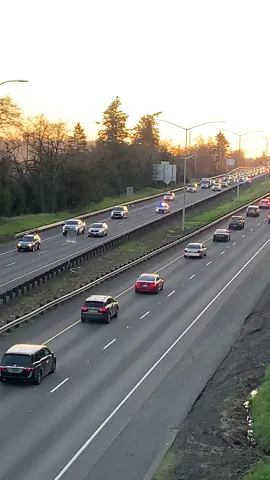 Here is a Clackamas County Sheriff’s Office unit repositioning from the NB lanes to the SB lanes on I-205. On November 30th at approximately 3:46 PM multiple agencies responded to multiple reported traffic collision calls on I-205 between Highway 43 and 10th street in West Linn, Oregon. One multi vehicle injury accident was located on I-205 SB between Highway 43 and 10th St causing I-205 SB to be closed to one lane.  Units Due: Clackamas County Sheriff’s Office Oregon State Police Oregon Department of Transportation  Tualatin Valley Fire & Rescue C6 T55 E58 E59 American Medical Response  AMR233 #oregon #clackco #clackamascounty #westlinn #westlinnoregon #trafficcollision #trafficaccident #stopandgo #stopandgotraffic #freeway #highway #ccso #clackcosheriff #clackamascountysheriffsoffice #sheriffsoffice #sheriffsdeputy #sheriffscar #policecar #policecarresponding #policelights 