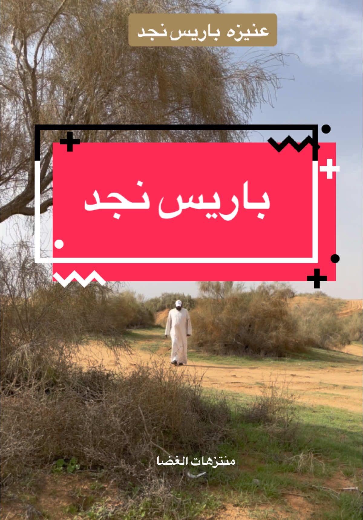 #عنيزه #عنيزه_باريس_نجد  #نجد #اكسبلور #اكسبلورexplore #منتزهات_الغضا #غضا #اشجار_الغضا #القصيم_عنيزه #القصيم #المنتزهات_البريه #تصوير_علي_السويد #شعر_الفصحى #شعر #شجرةالغضا #الطبيعة #رمال_نجد #طبيعة_نجد #الطبيعة_والجمال 