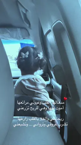 قلبي ♥️ #CapCut #ضيدان_قضعان 