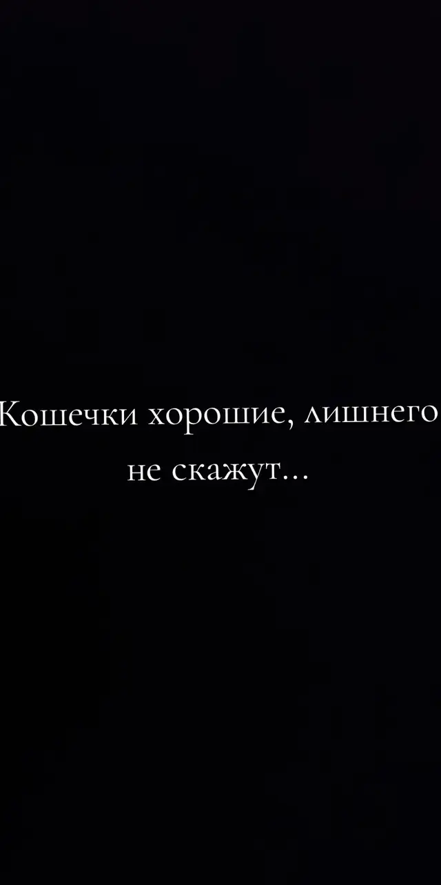 #лишнегонескажут #рекомендации #кошечкихорошие