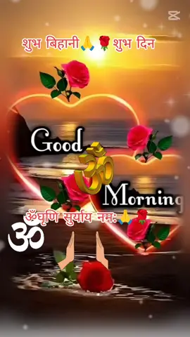 #ॐघृणि सुर्याय नम:🙏🌹#शुभबिहानि_सबैमा🙏🌺🌹 #fypシ #foryoupage #tiktoknepal🇳🇵 #btlmuser❤️ @Dipu @राधिका नेपाल 