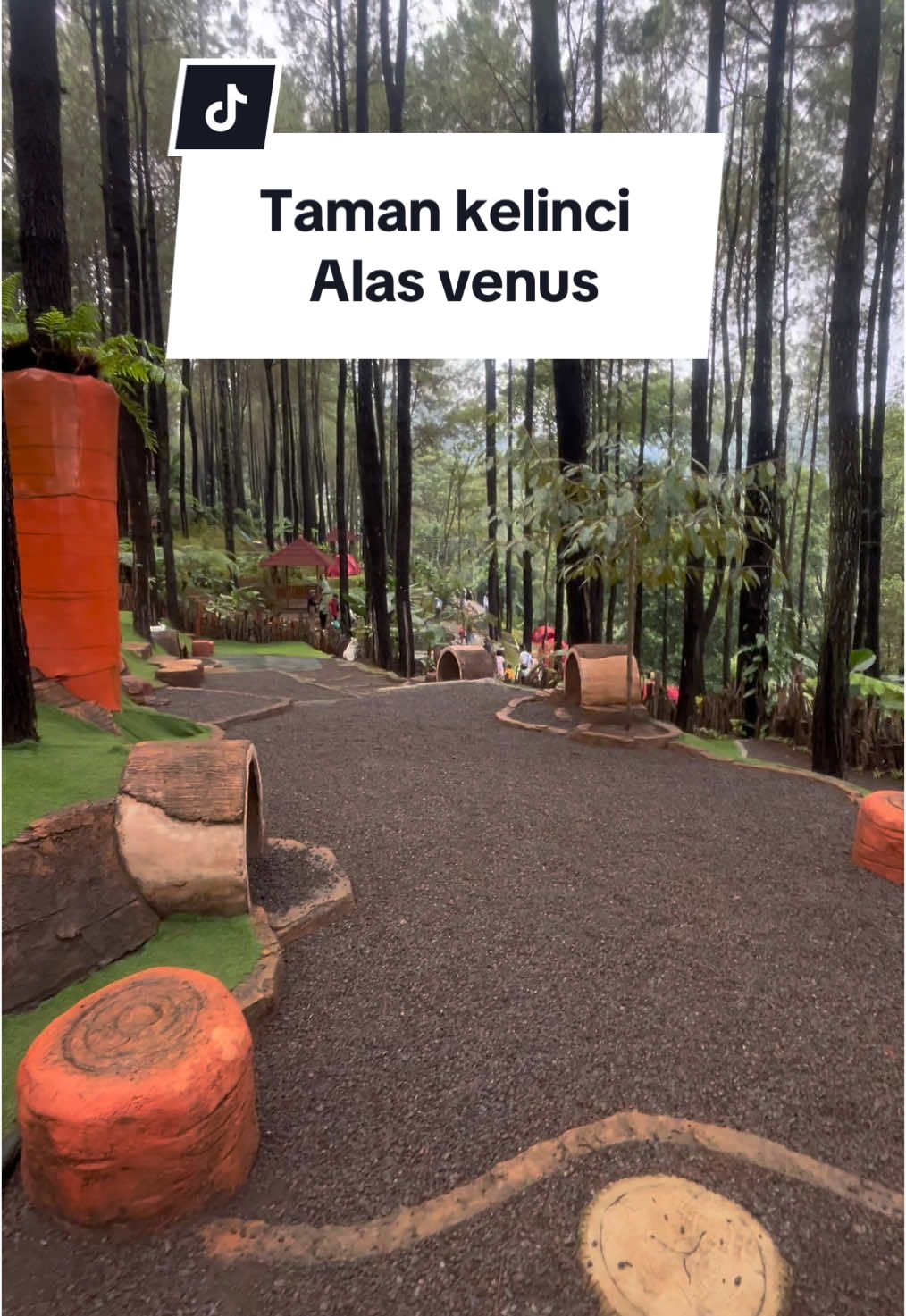 Taman kelinci alas venus  #tamankelinci #tamankelincitrawas #alasvenustrawas #wisatatrawas #wisatamojokerto #fyp #fypシ゚viral 