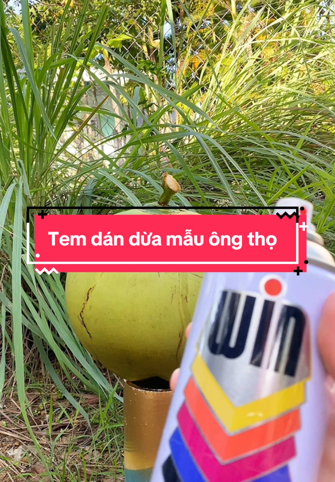 Mã hót bên e#tiemintrinhhoang #tet ##temdantet #miengdanduahau #xuhuong 