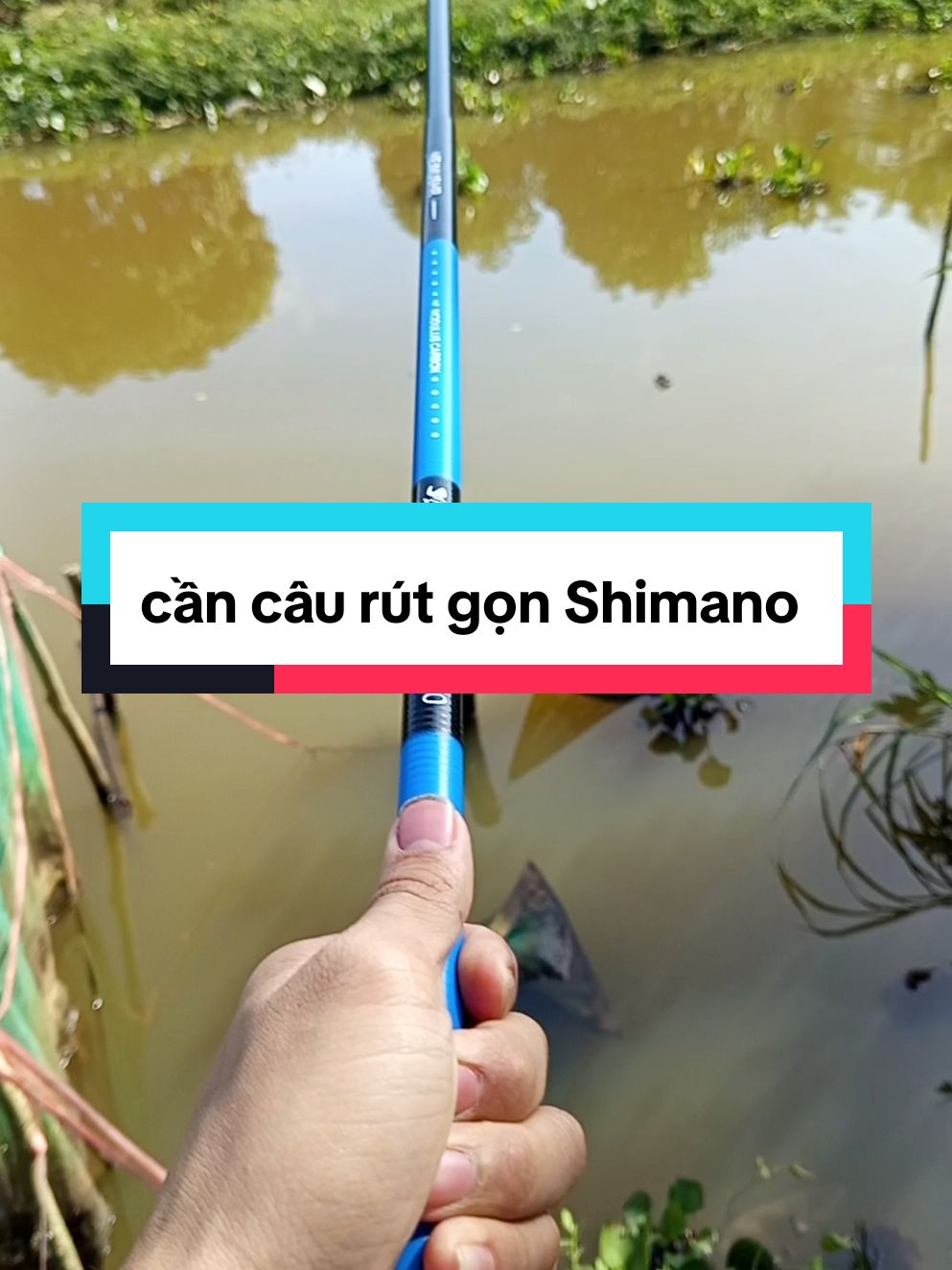 đây mọi người ơi cần câu rút gọn Shimano#cancaurutgon #shimano #caucagiaitri #khafishing 