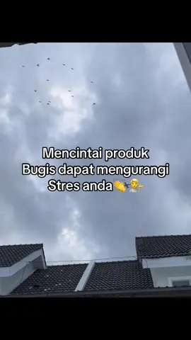Cintai lah produk bugis #fypシ #viral#bugistiktok  
