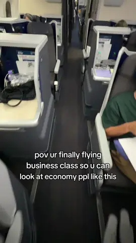 its a joke i promise 😭 #fyp #businessclass #plane #economyclass #flight
