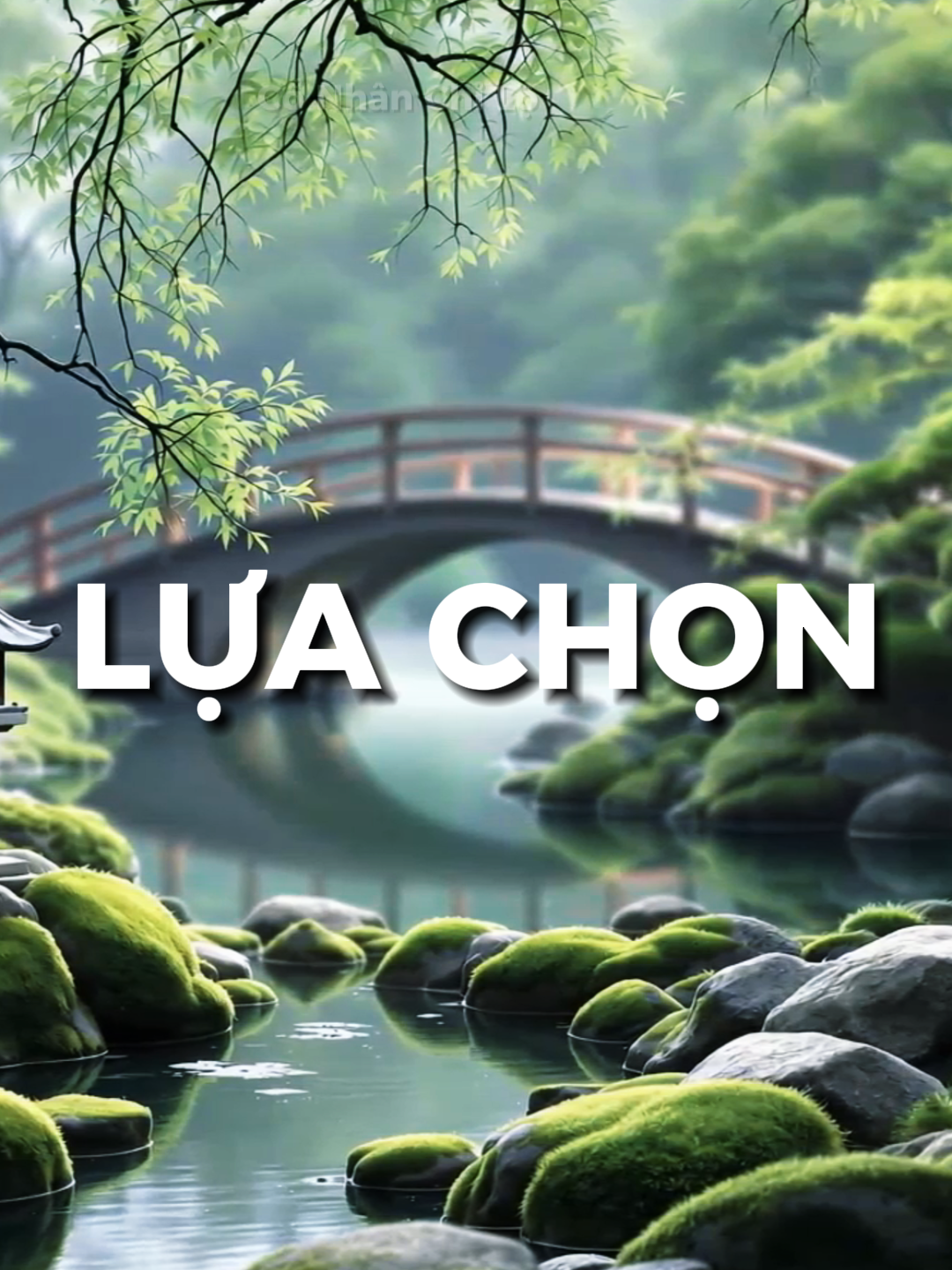 Trên đời này chỉ có hai con đường để lựa chọn: hoặc là tận hưởng sự cô đơn, hoặc là rơi vào vòng xoáy của thế tục. #conhanchilo #trietlysong #trietlycuocsong #trietlynhansinh