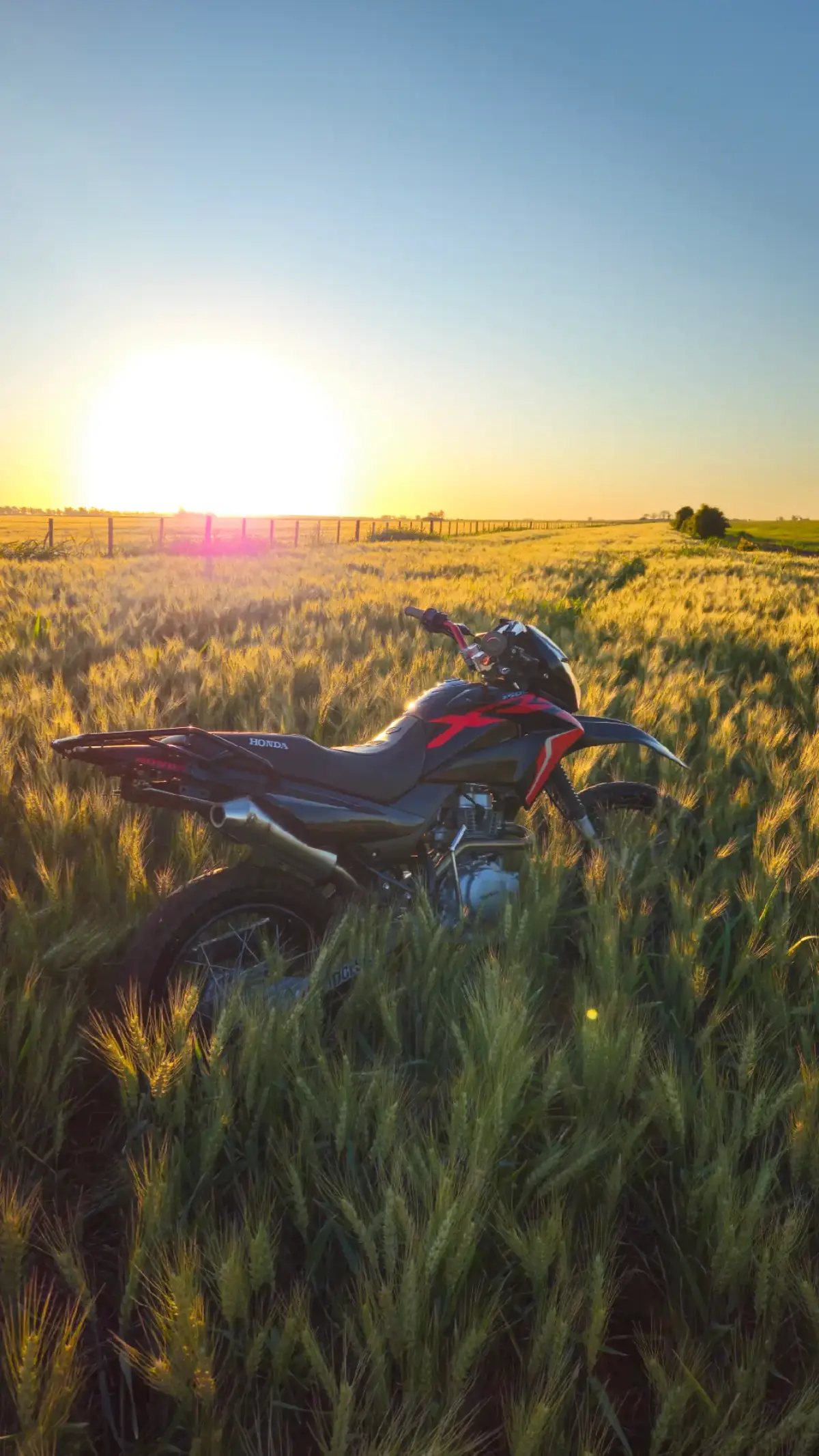 #xr150 #xr250 #honda #for#you#para#fypシ゚viral #motos#domingrau 