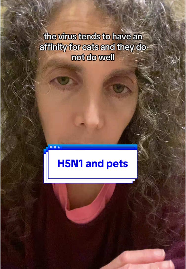 It’s long but hopefully helpful. Ask your questions in the comments! #h5n1 #hpai #birdflu #cats #catsoftiktok #dogs #dogsoftiktok #petfood #rawdiet #veterinary 