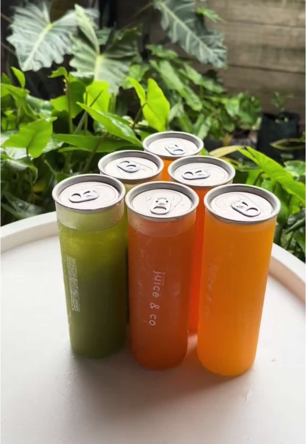 Coldpressed juice on a can 🍊🥬🥥✨ ✨LEBIH TAHAN LAMA ❌ TANPA GULA dan AIR 🥥 BUAH ASLI • Energy Booster : Nanas, Apel, Timun, Lemon,  • Stay Hydrated: Semangka, Jeruk Nipis, Jahe, Apel • Mood Booster : Beet, Apel, Jeruk Nipis, Jahe • Immune Booster : Sunkist, Jeruk Nipis, Jahe, Apel • Green Clean : Pakcoy/Bayam/Selada, Apel, Timun, Lemon • Natural Glowing : Wortel, Apel, Timun, Jahe • Ramuan Rempah : Jahe, Kunyit, Sereh, Jeruk Nipis, Gula Merah ______________ 📍Juice and Co , Waduk (on google maps) 🥥 OPEN OFFLINE setiap JUMAT, SABTU dan MINGGU 🍍 Setiap hari buka ONLINE (Go Food Juice and Co Manggala) #makassahits #makassarsehat #larimakassar #gayahidupsehat #coldpressedjuicemakassar #coldpressedjuice #juicemakassar #makassarviral #hiddengemmakassar #carfreedayboulevardmakassar #carfreedaymakassar #sunsetmakassar #cafesunsetmakassar #cafesunsetmks #sunsetwaduk #cafeaesthetic #cafeaestheticmks #coldpressed #coldpressedjuicejakarta #jussehat #jusehatmakassar #tanpagula