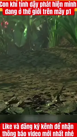 Con khỉ tỉnh dậy phát hiện mình đang ở thế giới trên mây