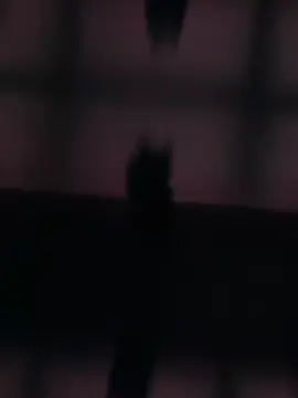 quiero ser importante para ti🥀❣️✨(para ti) #frasesdeamor #poesias #unpoetaperdido #paratiiiiiiiiiiiiiiiiiiiiiiiiiiiiiii