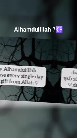 #islamic_video_الله#alhamdulillah#fypp#ghanatiktok🇬🇭 