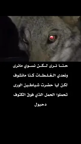 #قصيد #شعر دحبول #عمالقة_الشعر #المملكة_العربية_السعودية🇸🇦 
