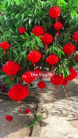 Đèn lồng 1k . Đèn lồng đỏ chữ phúc treo trang trí tết .trang trí cây cối sân vườn quá đẹp #denlong #trangtri #xuhuong #tet2025 #denlongdo 