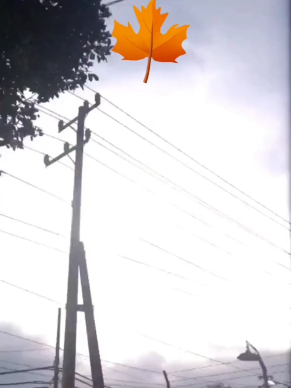 Memori Bulan Desember  #tommyjpisa 