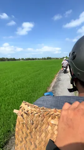 đường quê mát thật #xuhuongtiktok 