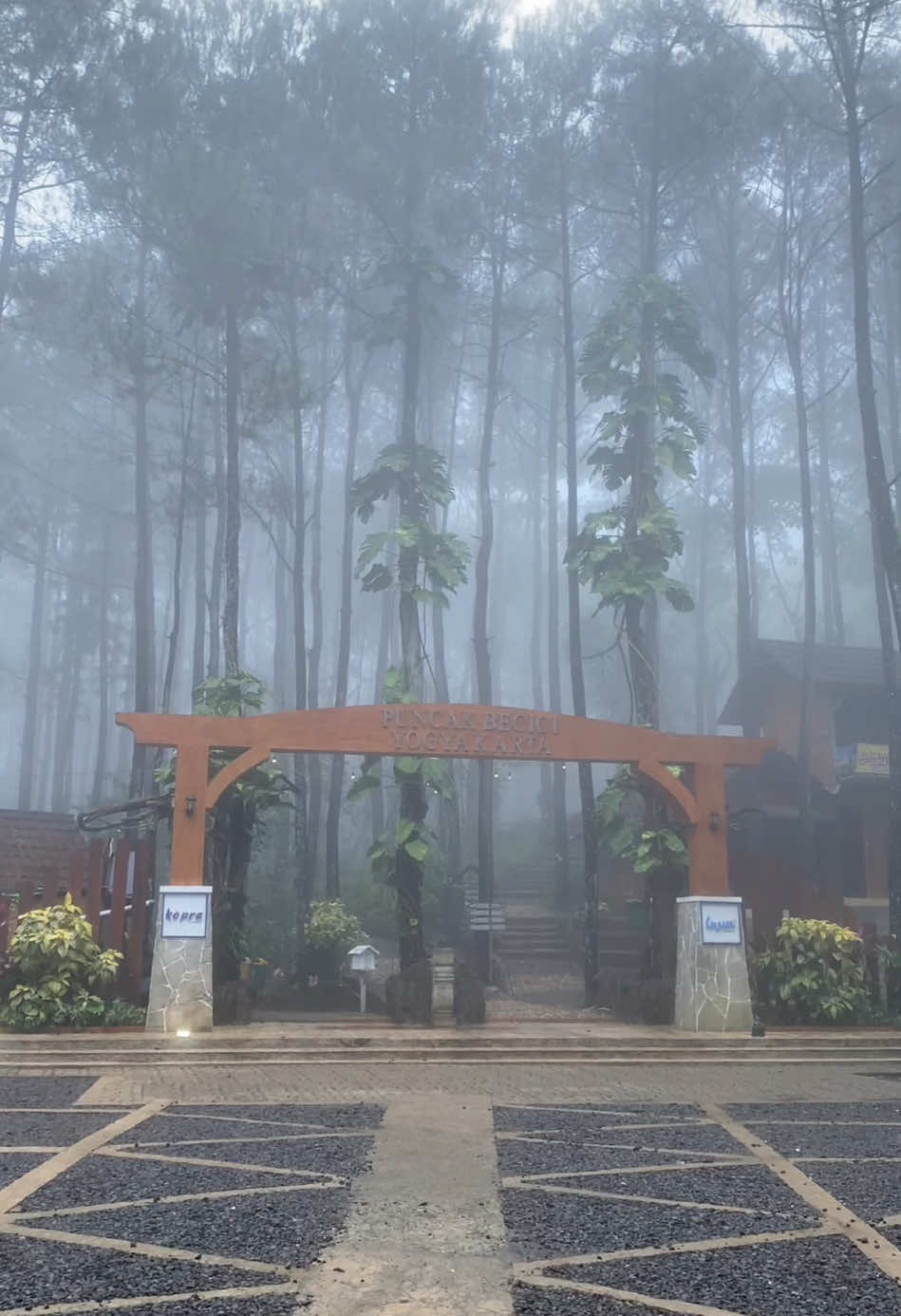 Lagi syahdu-syahdunya nihh di puncak becici pas hbis hujan 😊 Yg pengen pengen bisa ke @PUNCAK BECICI YOGYAKARTA mumpung lagi musim hujan nih 🥰 More info & reservasi jeep area hutan pinus puncak becici bisa cp 082221917731 #puncakbecici #yogyakarta #wisatajogja #infowisatajogja #holiday #pesonaindonesia #rain #jogjahits #viraltiktok #hujan #fyp #foryoupage #fypシ 