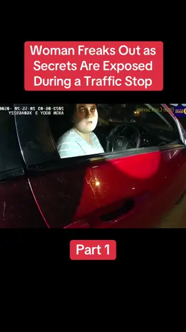 Woman Freaks Out as Secrets Are Exposed During a Traffic Stop