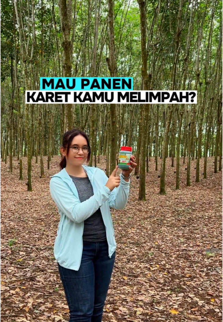 🌿 Panen getah karet melimpah dengan Superel! 💧  Jangan lupa pakai Superel dengan cara yang benar sehingga tidak mati kulit 😊 #superel #petanikaret #petaniindonesia🇮🇩🇮🇩🇮🇩🌿🌿 #petanimuda #petani #pupuk #agriculture #tanaman #tumbuhan #viral #fypシ゚viral #fyppppppppppppppppppppppp #fypage #panen #petanikaret #karet #stimulankaret #stimulantanaman 