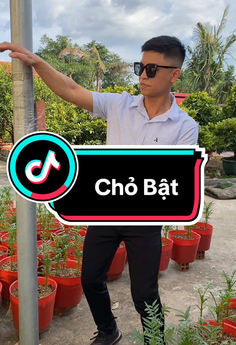 Võ cổ truyền chú trọng căn bản công là tấn pháp và thủ pháp #namquyenkungfu #vocotruyen #kungfu 