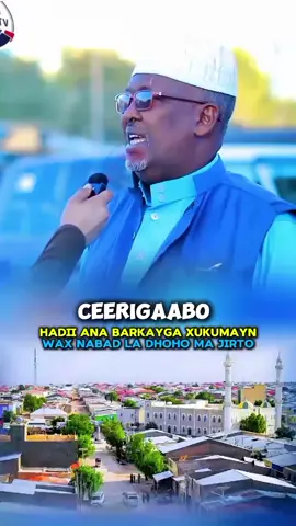 Ceerigabo 🔥🏢#fyoupage #viral #haaruun.66 #views #ceerigaabo