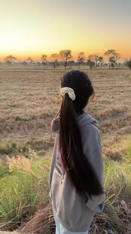 บ้านเฮาหนาวแล้ว #บ้านนอก #อนันต์ 