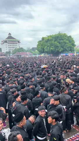semut ireng 🐜#bumireogberdzikir #fyp #pshtpusatmadiun #ponorogo_kota_reog #fyp 