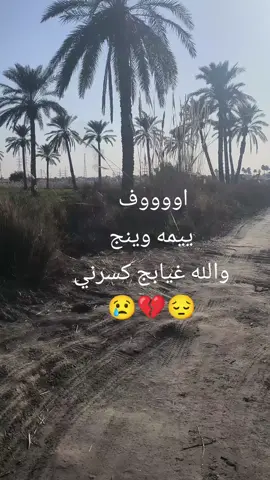 #ييمه #اليوم #روحي #صايره #اتراب  #اوووف #يايمه  #🥺💔😭💔 😭