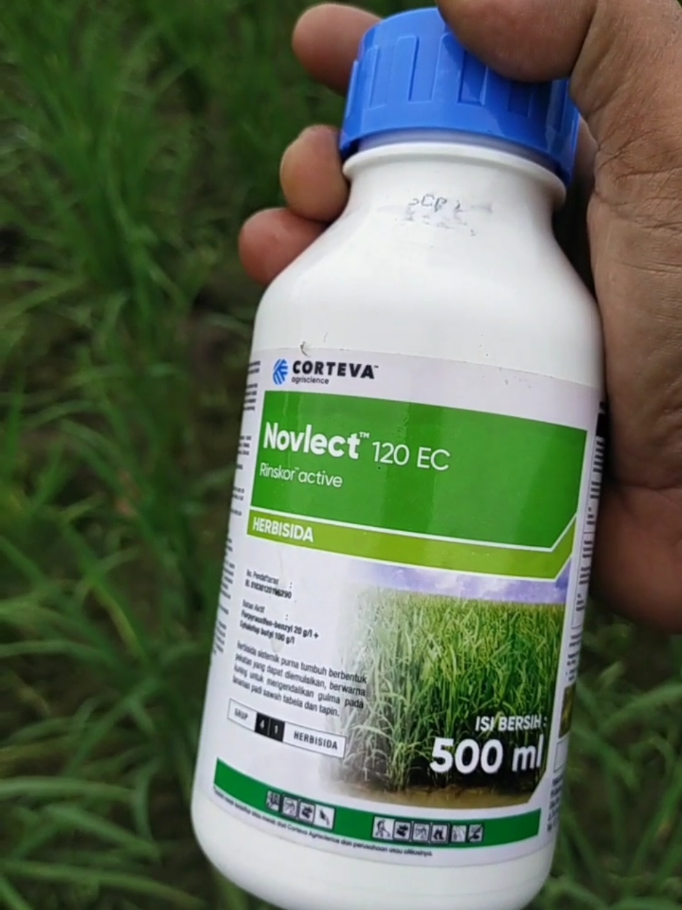 Novlect 120 EC #gulma #padi #gulmapadi #padisawah #pertanian 