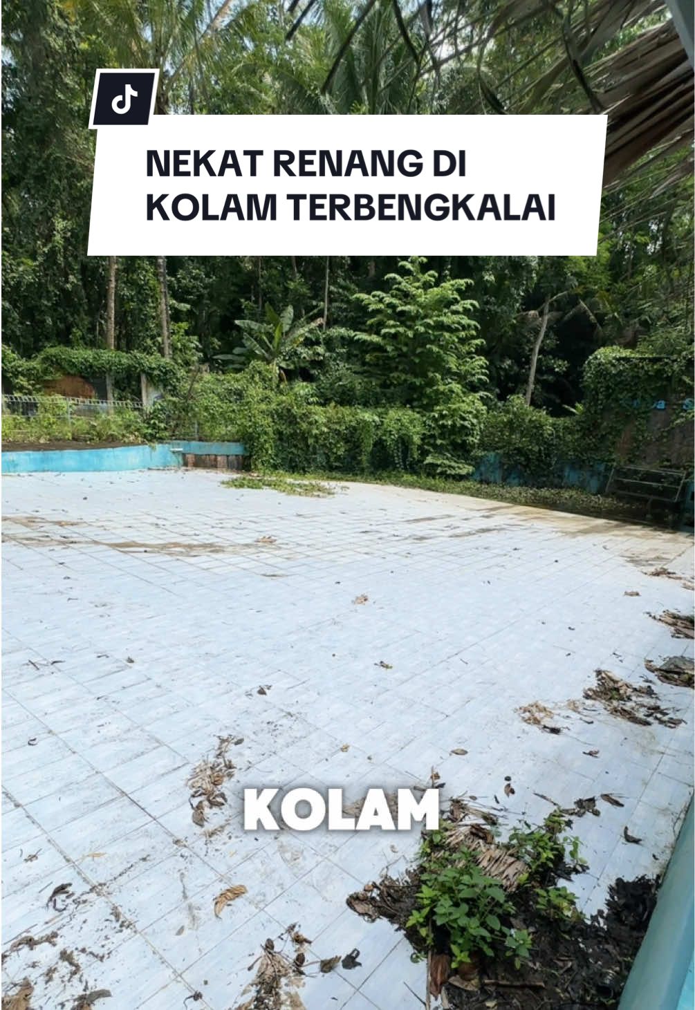 nekat renang di kolam terbengkalai #Vlog #horror #horor #horrortok 