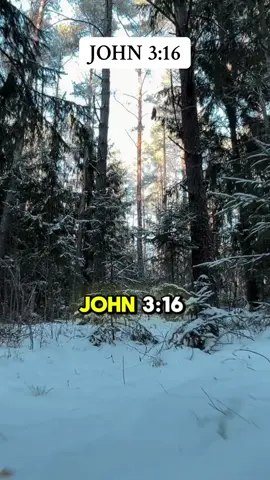 🌟 John 3:16 🌟 “For God so loved the world that He gave His one and only Son, that whoever believes in Him shall not perish but have eternal life.” This verse is the cornerstone of our faith, a powerful reminder of God’s incredible love for us. God didn’t just tell us He loves us—He showed it by giving us His most precious gift, Jesus. Through His sacrifice, we are offered the gift of eternal life, simply by believing in Him. No matter where you are in life or what you’re going through, this truth stands: You are deeply loved by the Creator of the universe. His love is unconditional, and His gift of salvation is freely given to all who believe. Let this be your prayer today: Heavenly Father, Thank You for loving me so much that You sent Jesus to save me. Thank You for the gift of eternal life through Him. I believe in Your promise and trust in Your unfailing love. Help me to live each day as a reflection of Your love, sharing the hope of salvation with those around me. Thank You for calling me Your child and giving me the assurance of life everlasting. In Jesus’ name, I pray. Amen. #BraveHopeRising #John316 #GodSoLovedTheWorld #FaithInChrist #HopeInJesus #EternalLife #ChristianEncouragement #BibleVerseOfTheDay #UnfailingLove #JesusSaves #TrustInGod #HopeInChrist #SacrificialLove #GodIsLove #ChristianEncouragement #BibleVerseOfTheDay #JesusSaves #HopeInGod #StrengthInGod #CreatorOfAll #pray #lovely #UnfailingLove #faith 