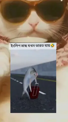 #jubaet۔۔۔۔۔❤️‍🔥 