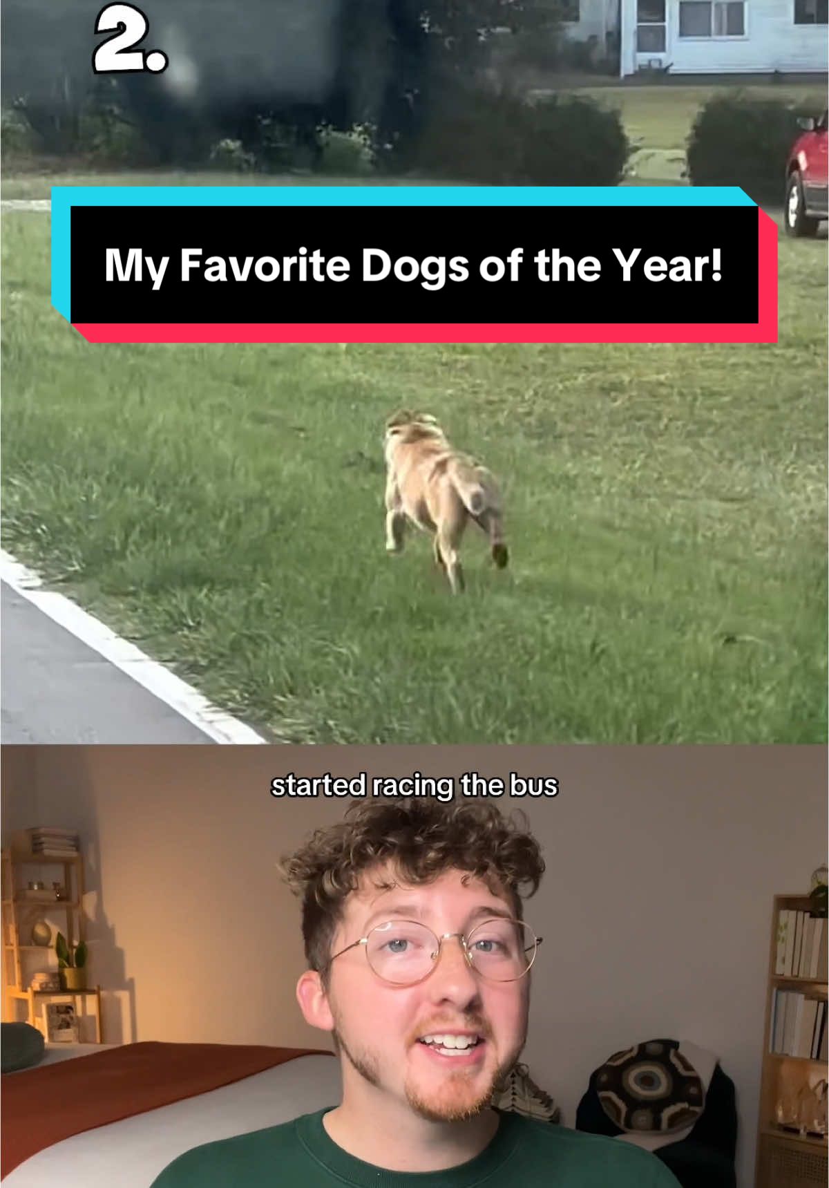 My Favorite Dogs of the Year! #weratedogs 