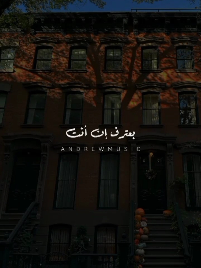 لأ ده أنت مازلت #اغاني  #عمرو_دياب #ماتتعوضش #مكانك #musica #تصميمي #fyp #رومانسي #ستوريات #video_editor #تصميم_فيديوهات🎶🎤🎬 