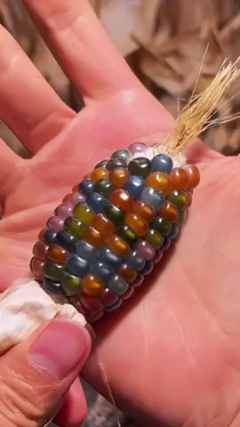 #glassgemcorn #rainbowcorn 